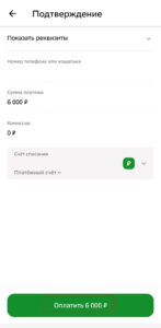 Проверяем сумму и номер кошелька и нажимаем Оплатить